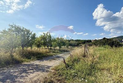 Teren de 700 mp, în Tăuții-Măgherăuș - 2