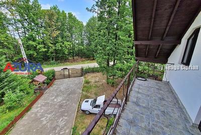 Casă de vacanță în pădure, 10 km de Pitești - Babana - 9