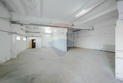 Spațiu industrial, de 1,230 mp, în Exterior Vest - 13