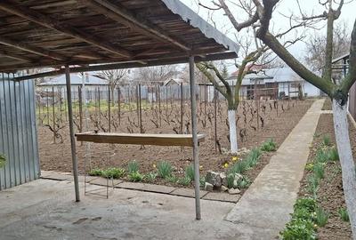 Casă cu 2 camere cu Teren 952 Mp în Chiscani - 1