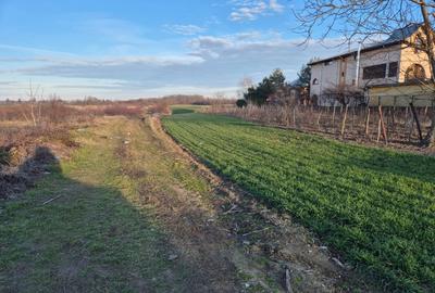 Vand teren in Tandava cu deschidere la PADURE (Gradinari, Giurgiu) - 1