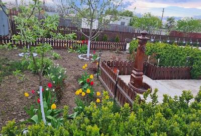 Casă cu 4 camere cu Teren 1049 Mp în Corbu (Glodeanu-Siliștea) - 1