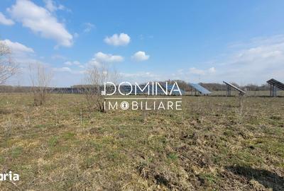 Teren de 978 mp, în Drăguțești - 1