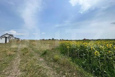 Teren de 3200 mp, în Moara