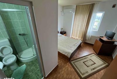 Casă cu 9 camere cu Teren 2035 Mp în Maliuc - 9