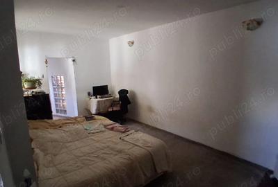Casa de vanzare Bucurestii Noi-Damaroaia - 2