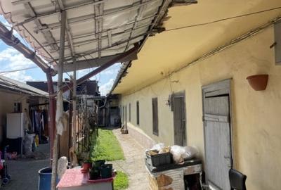 Casa in Timisoara cu 4 apartamente, 440mp teren propriu - 4