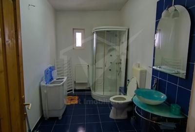 Casa individuala, 270 mp, Dambul Rotund - 10