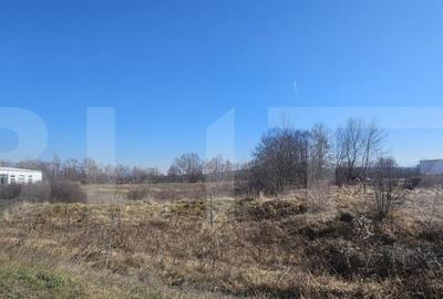 Teren intravilan, 3500 mp, pozitie strategica, Deva - 5