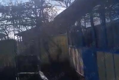 Casă cu 4 camere în Cărăpcești - 2