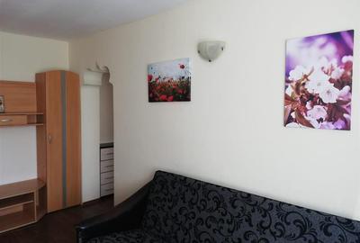 Apartament cu 3 camere semidecomandat, mobilat în Podu Roș - 5