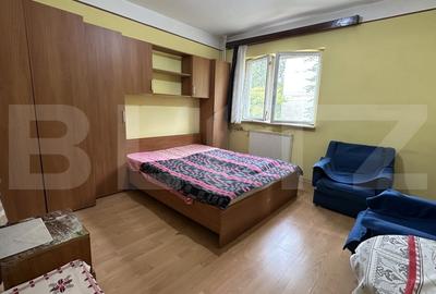 Apartament cu o camera, zona Decebal - 1