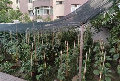 Casă cu Teren 450 Mp în Central - 8