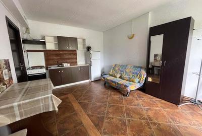 Casa cu Garaj,Zona Sagului,Musicescu, Teren 457 mp,suprafata construita 240 mp - 11