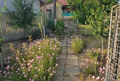 Casă cu 4 camere cu Teren 96 Mp în Oancea - 1