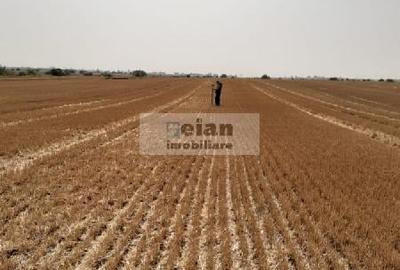 Magurele - Benzinaria Tsv Intravilan 3500 Mp Dubla Deschidere 22/135ml - 5