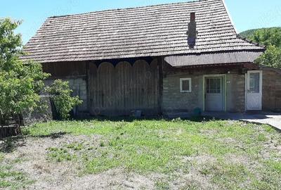 Casă cu 3 camere cu Teren 4000 Mp în Tămașa - 6