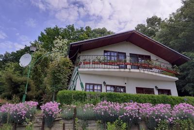 Casa de vacanta de vanzare