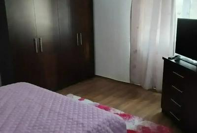 De vanzare casa demisol si parter garaj si teren - 8