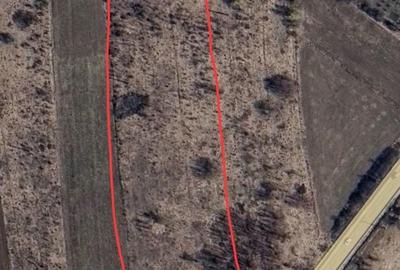 Teren de 15000 mp, în Schitu Duca - 3