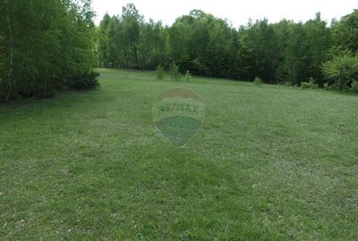 Teren extravilan de 7500 mp, în Preluca Nouă - 7