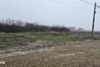 Spațiu comercial, în Nojorid - 1