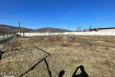 Teren de 2936 mp, în Șuncuiuș - 2