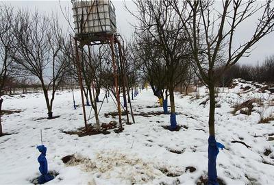 Teren de 2500 mp, în Careiului - 2