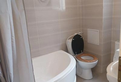 Apartament cu 2 camere semidecomandat în Podul de Fier - 4
