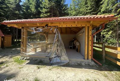 Casă cu Teren 5500 Mp în Sântimbru - 15