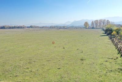 Pretabil Investitie - 6