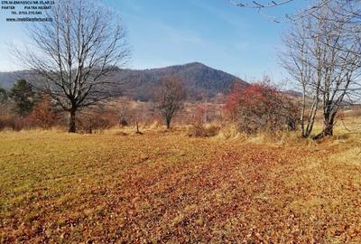 Teren intravilan Bistrita - 2