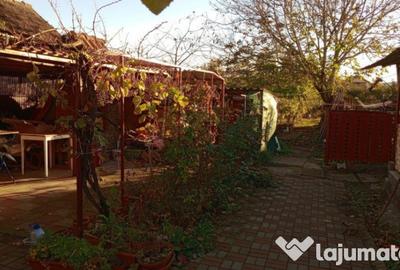 Casă cu 4 camere cu Teren 1215 Mp în Crăciunelu de Jos - 3