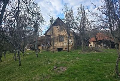 Casă cu 2 camere în Hălmagiu - 6