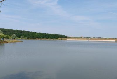 Teren intravilan -700 mp in Paleu, Bihor- intre padure si lac, cu PUZ aprobat - 7
