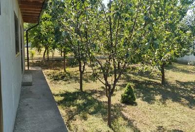 Casă în Odaia Manolache - 7