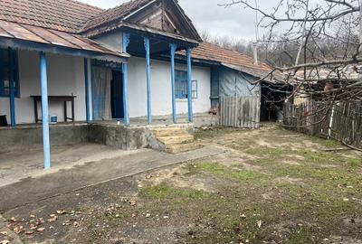 Casă cu 4 camere în Vulturu - 1