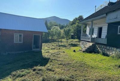 Casă cu Teren 1642 Mp în Greșu - 8