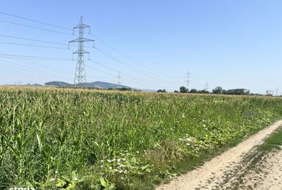 Teren de 10700 mp, în Triaj - 2