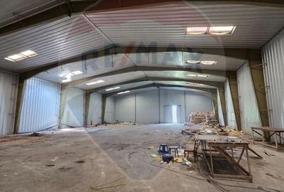 Teren Construcții intravilan de 13210 mp, în Ștefăneștii de Jos - 7