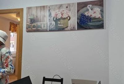 Drumul Cooperativei Sector 5 Garsoniera 41 MP - 3