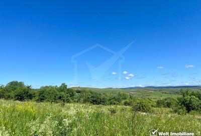 Oportunitate investitie, Chinteni, zona Macicas 31.600 MP - 2
