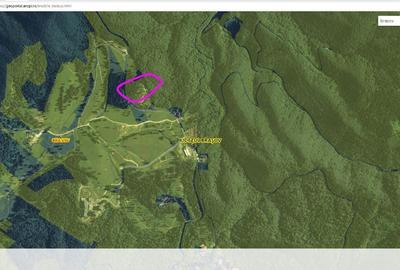 1,93ha de vanzare Poiana Brasov, de la proprietar - 3