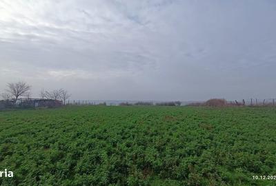 Teren de 3801 mp, în Dăeni - 3