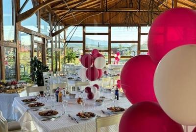 Închiriere Spațiu Comercial – Restaurant - Valea Avrigului - 3