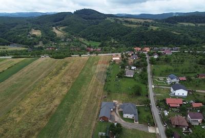 Teren 800mp Coas / Strada Principala - 3