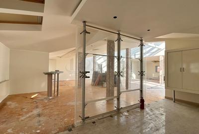 Casă individuală cu 19 camere cu Canalizare în Grădina Icoanei - 18