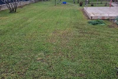 Comuna Berceni Strada Campului - 2