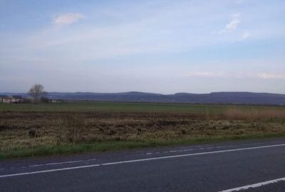 Spațiu comercial, în Ernei - 2