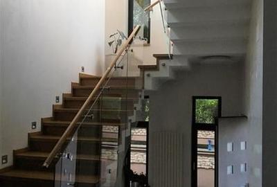 Vila cu piscina in zona  - Iancu Nicolae - Lidl ( teren 1500 Mp) - 7